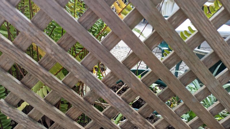 Garden Trellis Installation