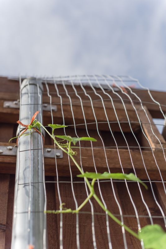 Garden Trellis Installation