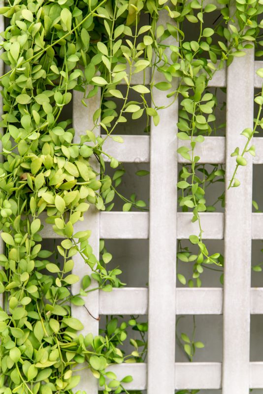 Finished Garden Trellis with Plants