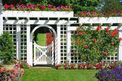 Garden Trellis in Spring