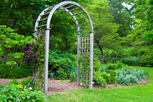 Timber Arbor Assembly