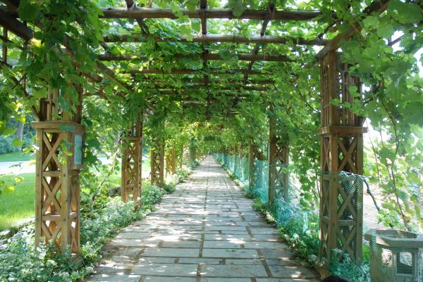 Wooden Trellis Building